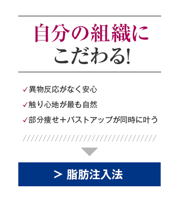 脂肪注入法