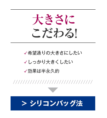 シリコンバッグ法