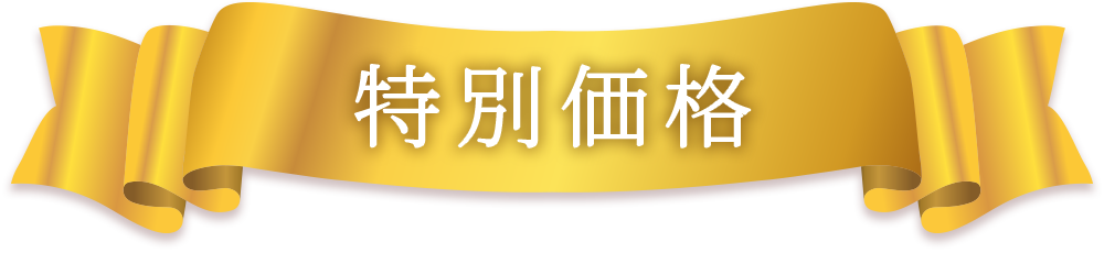 特別価格