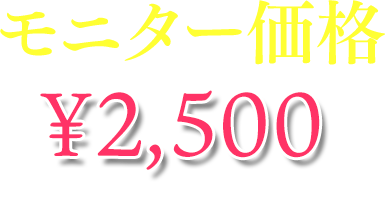 モニター価格¥500