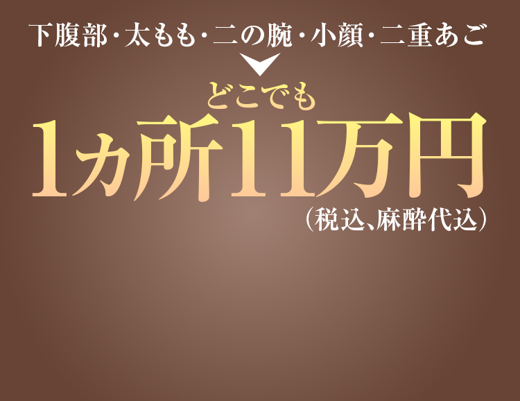 脂肪吸引診断回答で10%OFFクーポンGET！