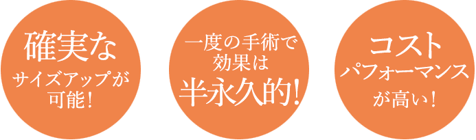 確実なサイズアップが可能！一度の手術で効果は半永久的！コストパフォーマンスが高い！