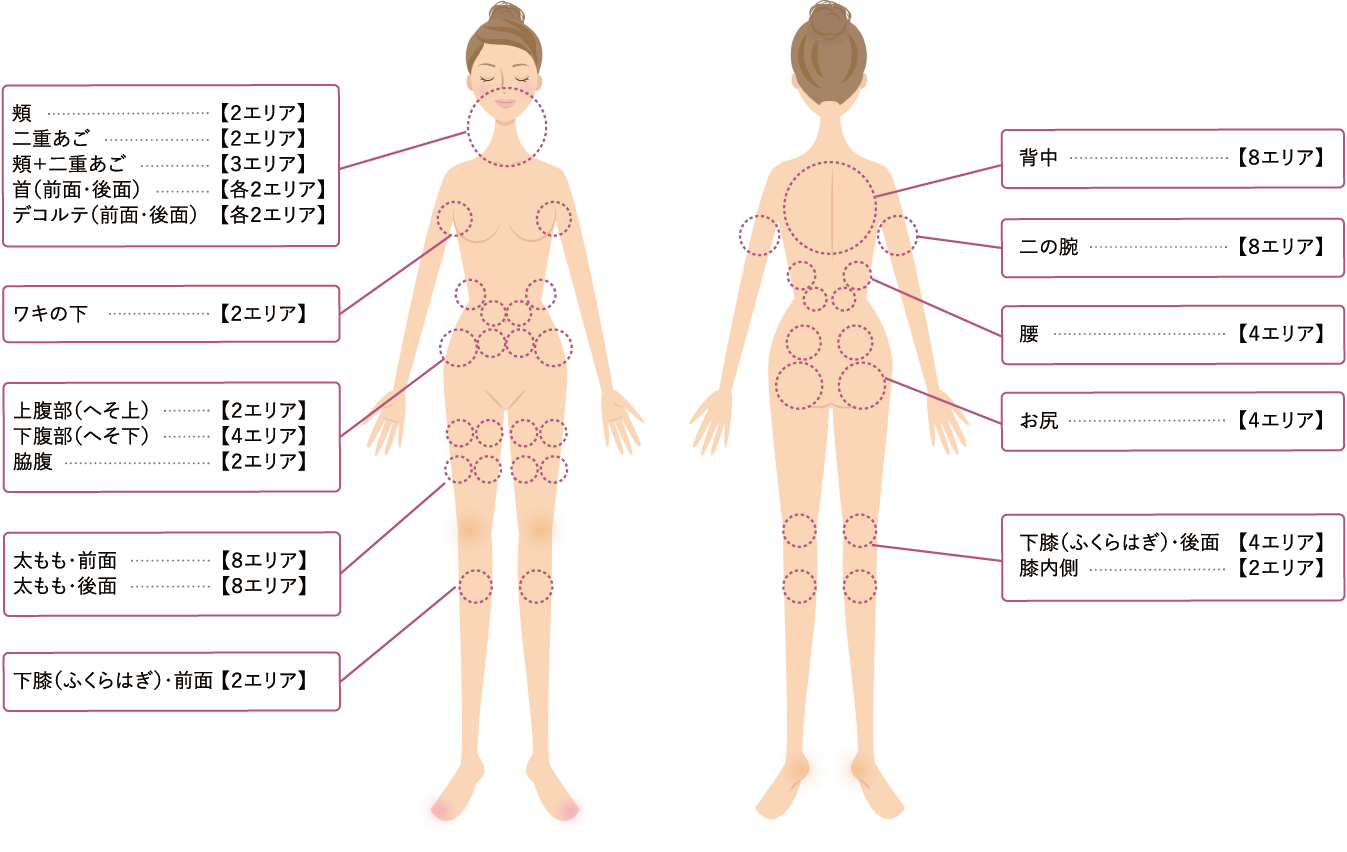 部位別