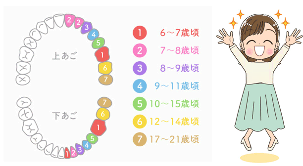 永久歯が生えそろう12～13歳くらいから始めるのが一般的です