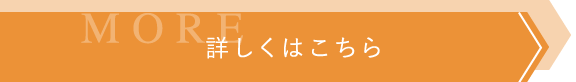 詳しくはこちら